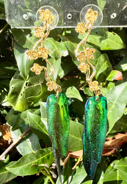 Scarabee - Emerald Elegance