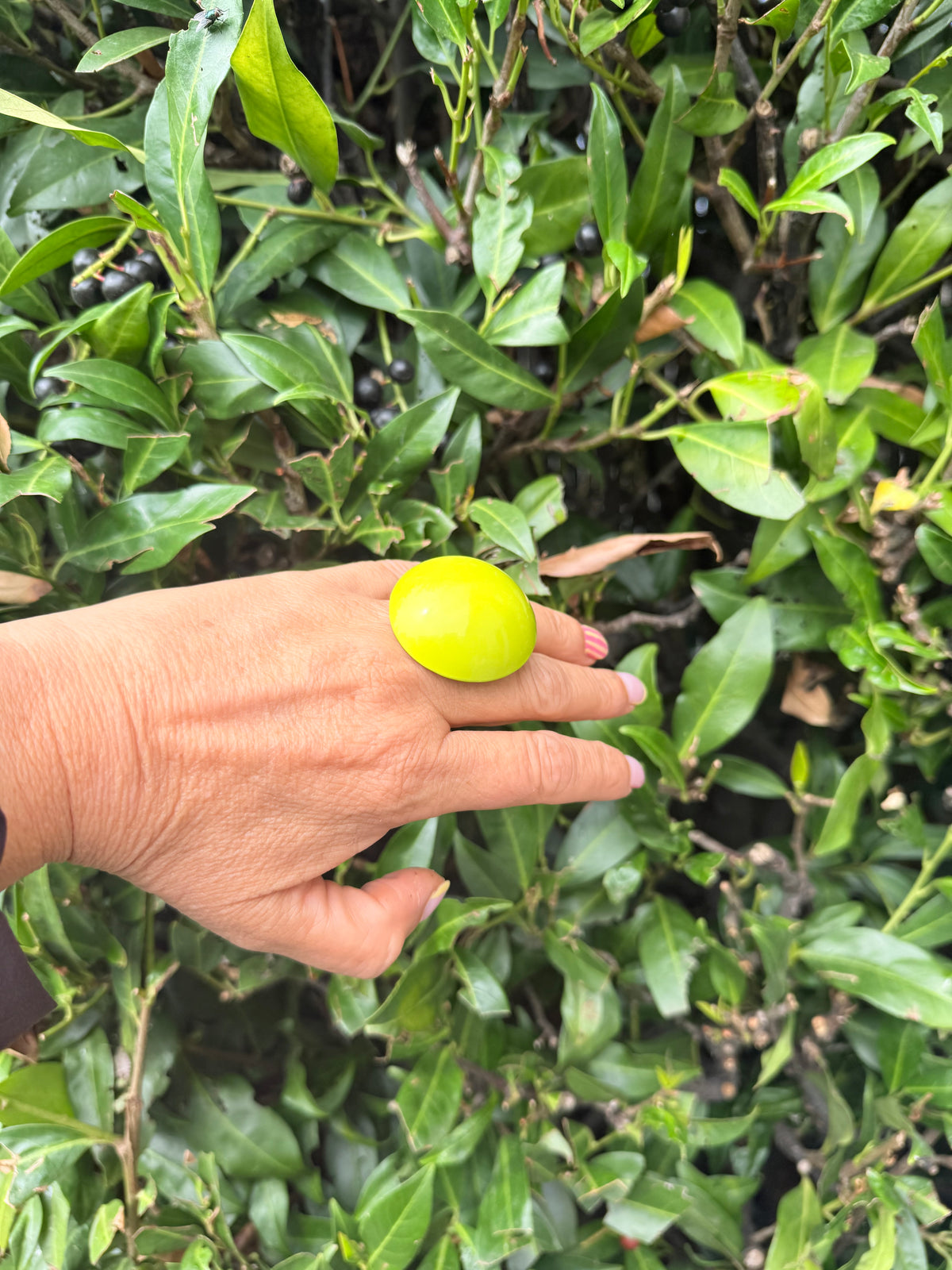 Lime Glow