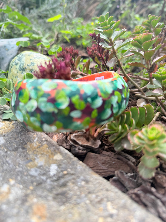 Wild Garden